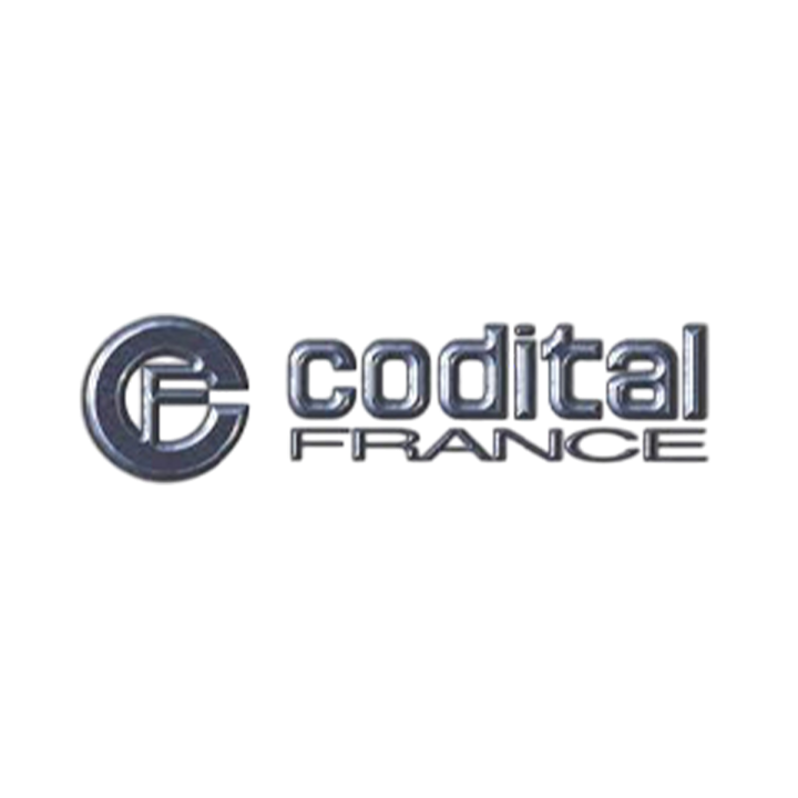 Codital France